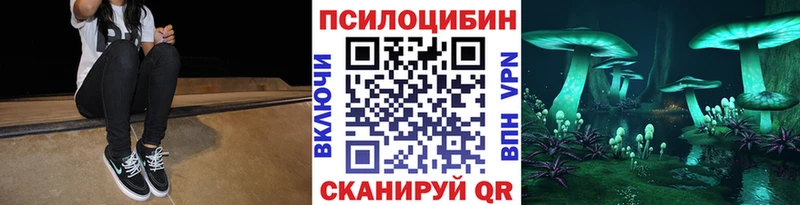 ОМГ ОМГ tor цены Ярцево Псилоцибиновые грибы MAGIC MUSHROOMS