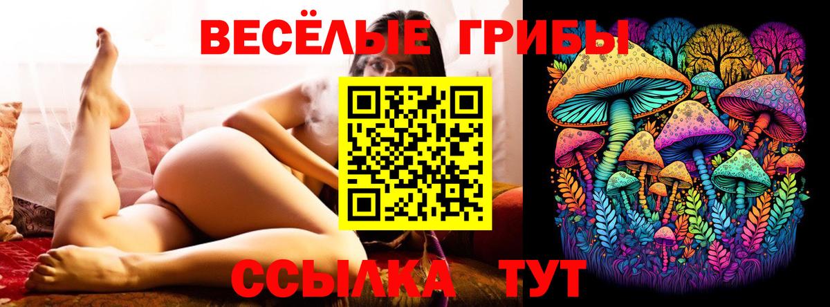 Псилоцибиновые грибы прущие грибы Ярцево